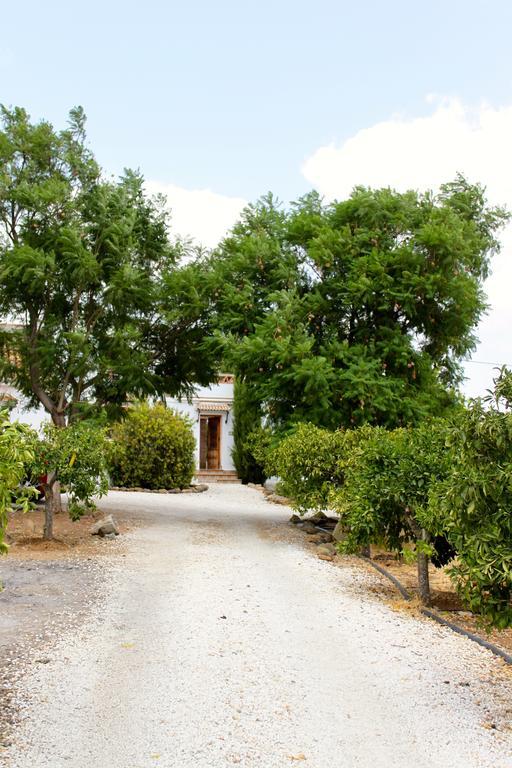 Casita Naranja Villa Alora Rum bild